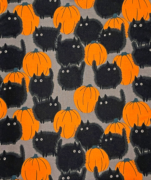 Pumpkin the Halloween Cat Book Sleeve - Gray