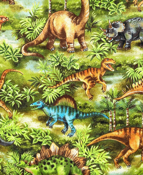 Dinosaurs Book Sleeve